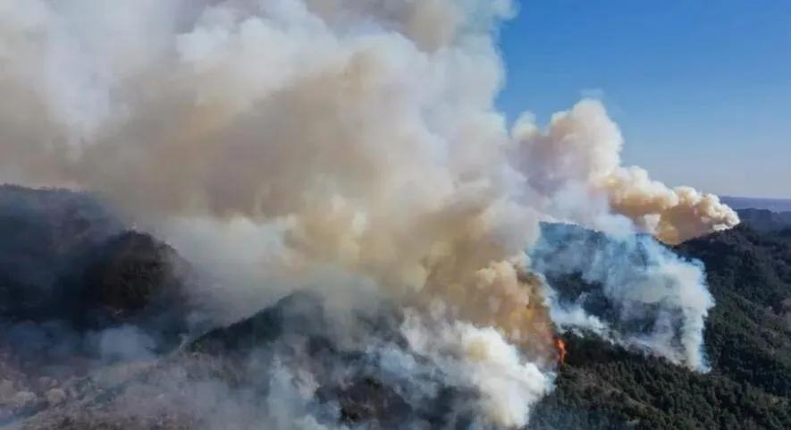 榆社山火防控指南，從初學者到進階用戶的全步驟學習與防火任務實踐