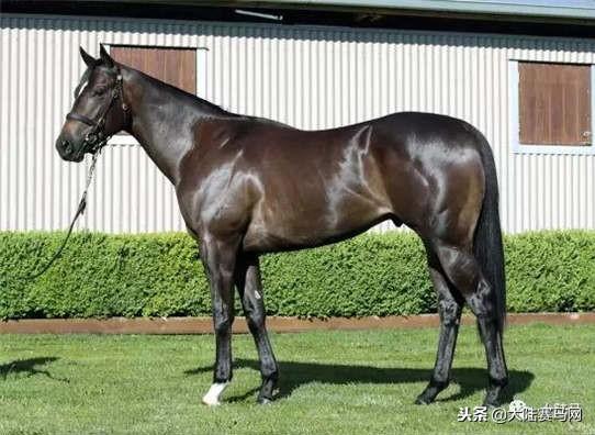 卡拉卡最新指南，任務(wù)完成與技能學(xué)習(xí)步驟攻略