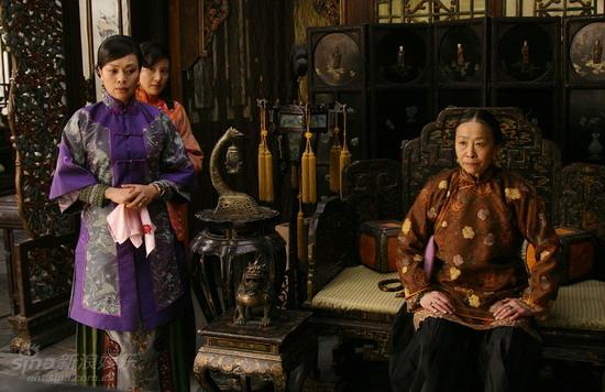 鐵梨花最新更新，日常生活中的趣事與情感紐帶