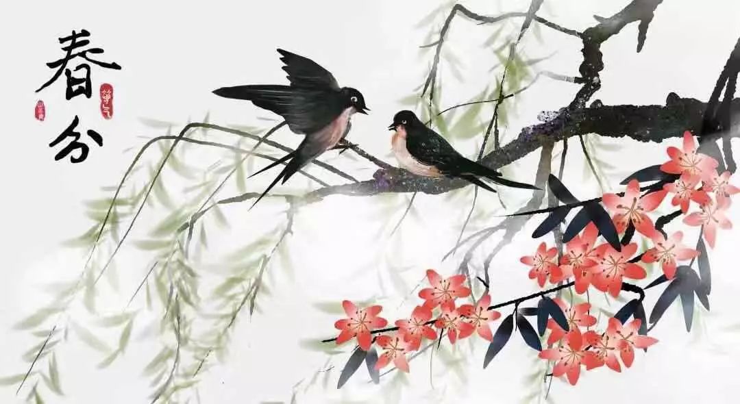 春分最新圖片，展現(xiàn)自然之美的瞬間