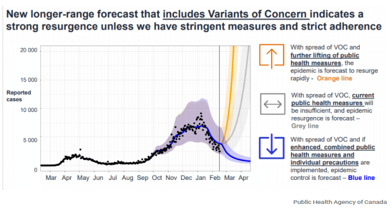 約克最新疫情動態(tài)，學(xué)習(xí)變化中的自信與成就力量