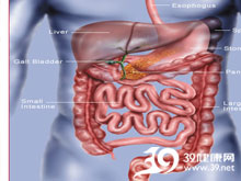 高科技產(chǎn)品重塑生活，體驗(yàn)前沿魅力，探索腸鳴最新技術(shù)