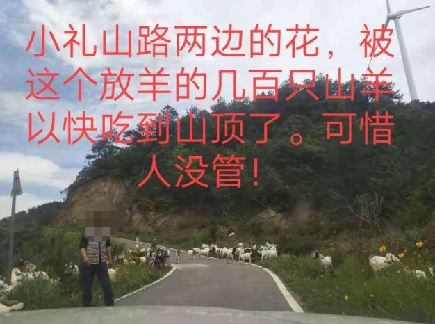 大悟最新路，探索未知，自信成就夢(mèng)想之旅的啟程