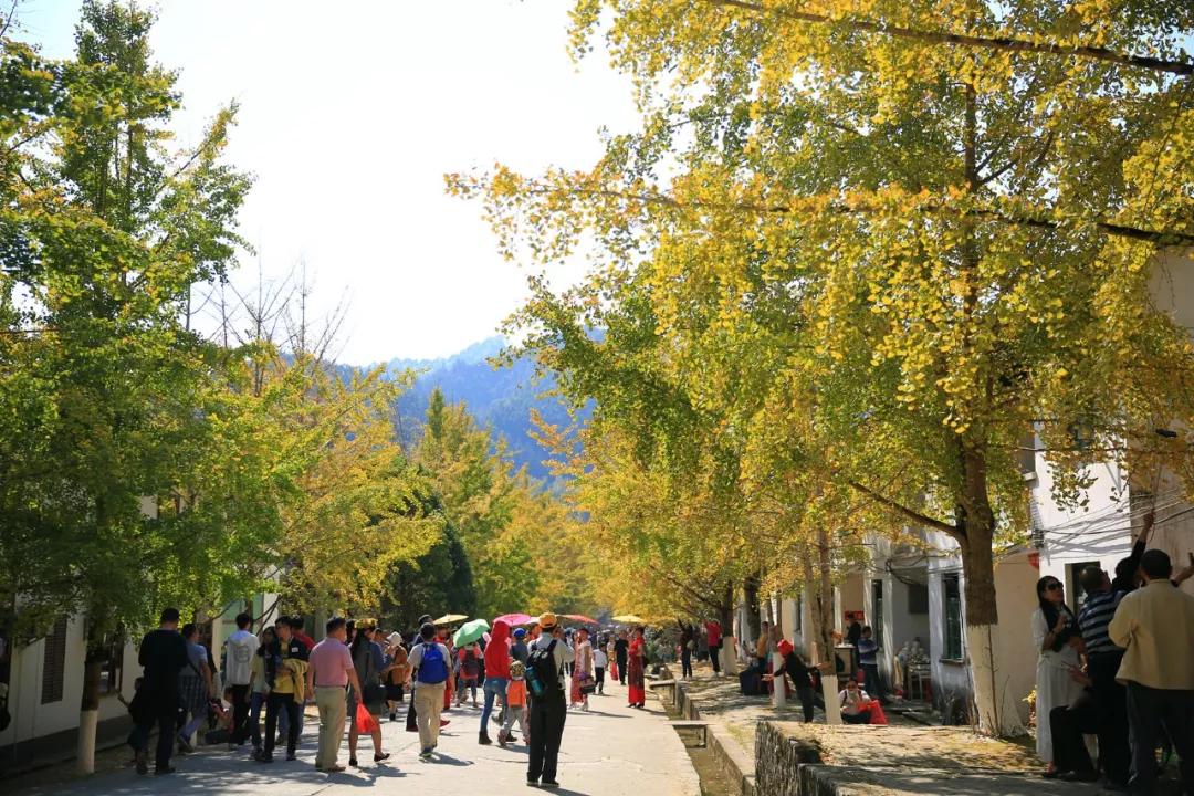 南雄最新現(xiàn)狀，科技前沿產(chǎn)品引領(lǐng)未來生活發(fā)展