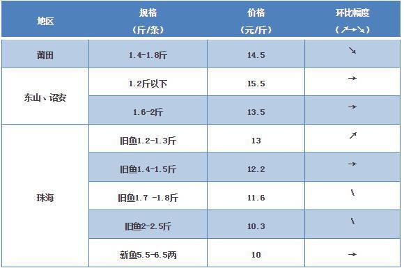探索海鮮市場秘密，最新鱸魚價格一覽