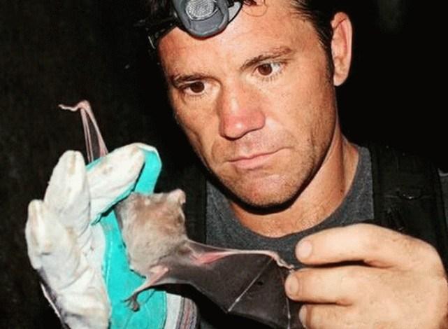 蝙蝠最新電影，自信與成長的翅膀，勵(lì)志翱翔天空之旅