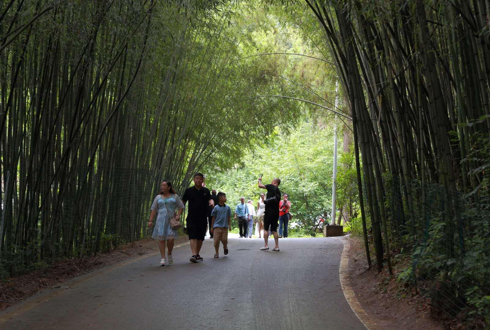 全家最新優(yōu)惠攻略，一步步教你享受最大優(yōu)惠折扣！