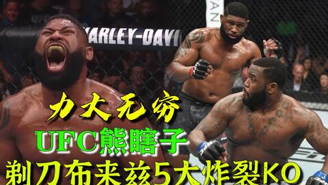 小菊最新比賽，友誼與夢(mèng)想的絢爛綻放