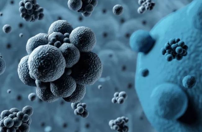 病毒擴(kuò)散最新情況，自然探險(xiǎn)之旅尋求內(nèi)心平和之地