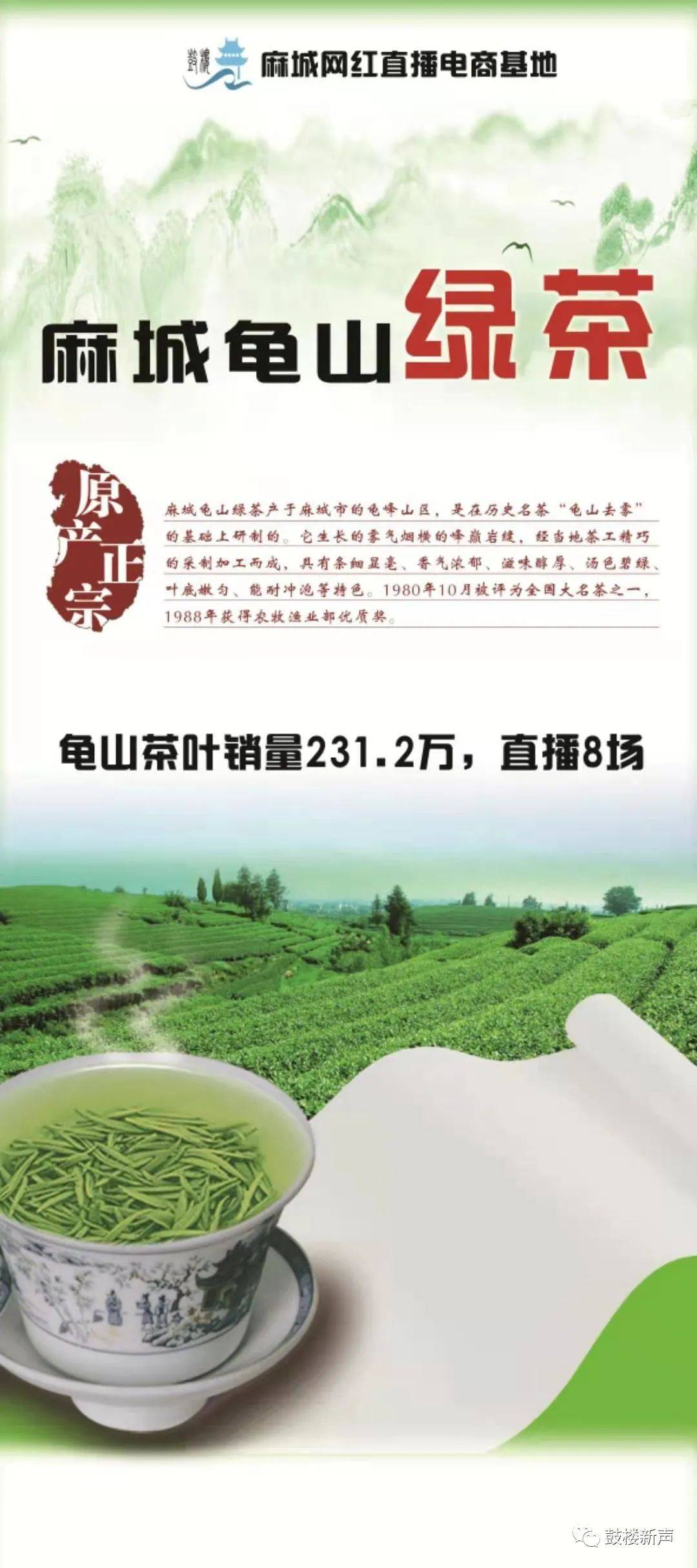 麻城最新宣傳動態(tài)概覽