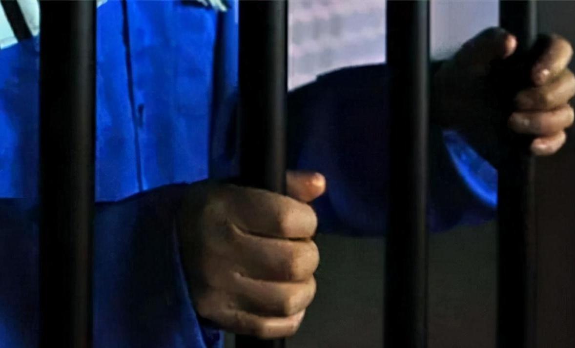 我國電力最新論述與進(jìn)展概覽