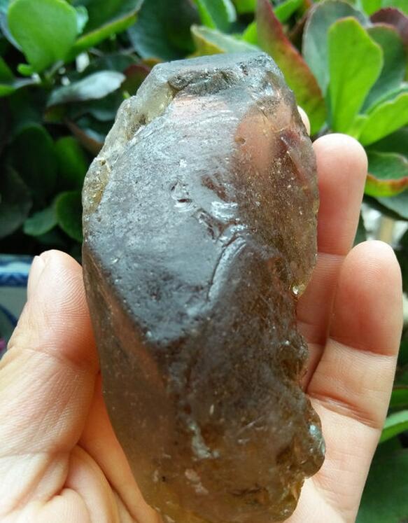 最新鑒定法，揭示友情的印記與家的溫馨