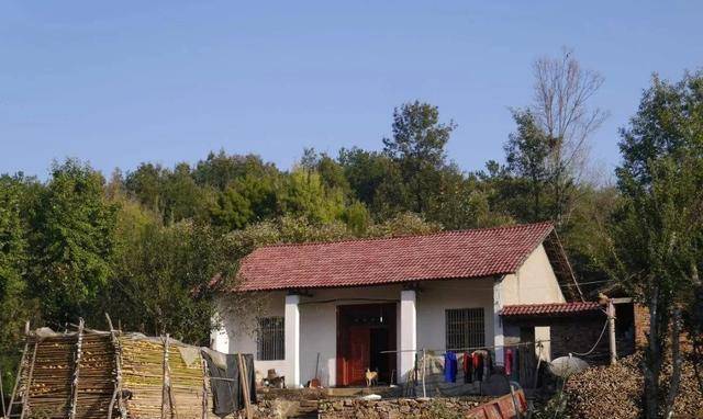 新時代田園生活揭秘，鄉(xiāng)村農(nóng)村的最新風(fēng)貌與體驗