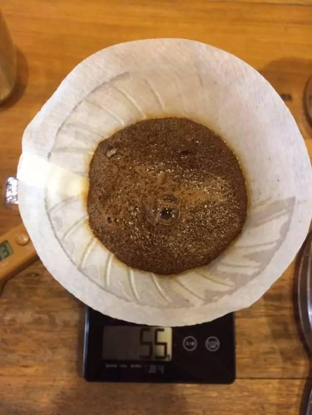 最新萃取法詳解，步驟指南與操作技巧