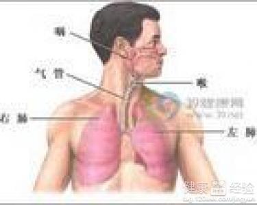 咸豐肺炎最新全面指南與詳解，癥狀、治療、步驟解析