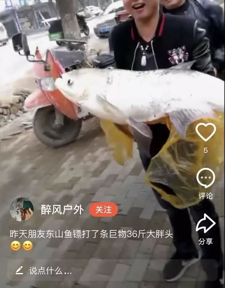 射魚(yú)神器進(jìn)化升級(jí)，學(xué)習(xí)變革與自信成就之源