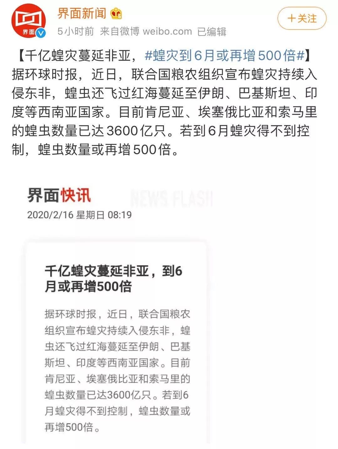 世界蝗災(zāi)最新動態(tài)，探索自然美景的輕松之旅