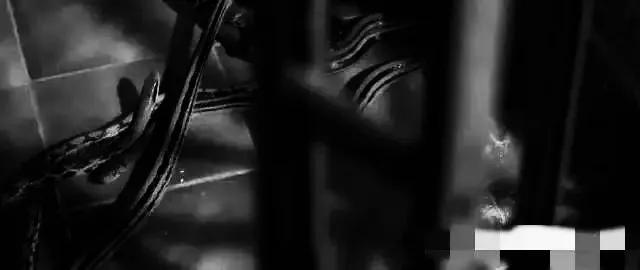 香港最新房價趨勢展望，2025年分析與展望