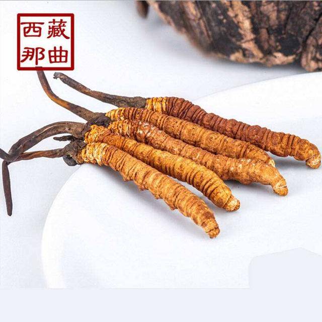 揭秘2025年蟲草最新價(jià)格，探尋小巷中的秘密行情！