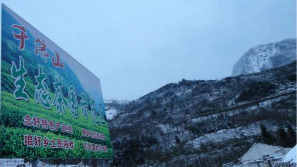 千佛山綿陽(yáng)最新探索，巷弄深處的獨(dú)特風(fēng)味之旅