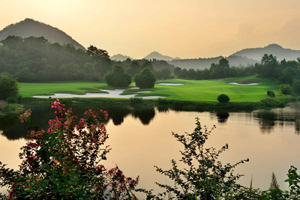 風(fēng)水最新動(dòng)態(tài)，日常小事中的風(fēng)水奧秘與溫馨解讀