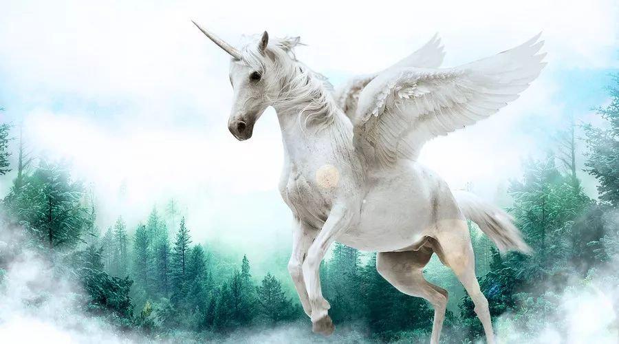 中國(guó)最新獨(dú)角獸，自信與成就感的源泉